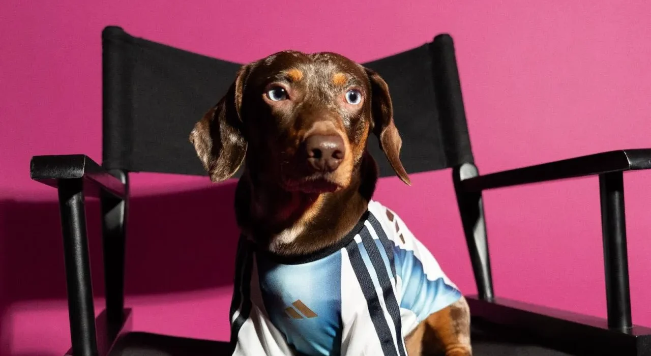 Adidas presenta línea para mascotas