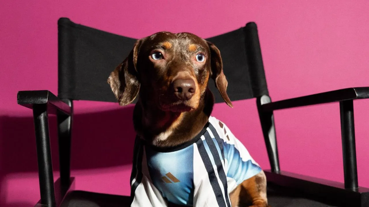 Adidas presenta línea para mascotas