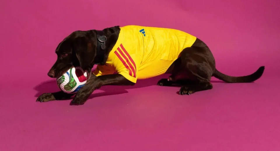 Mundial 2026