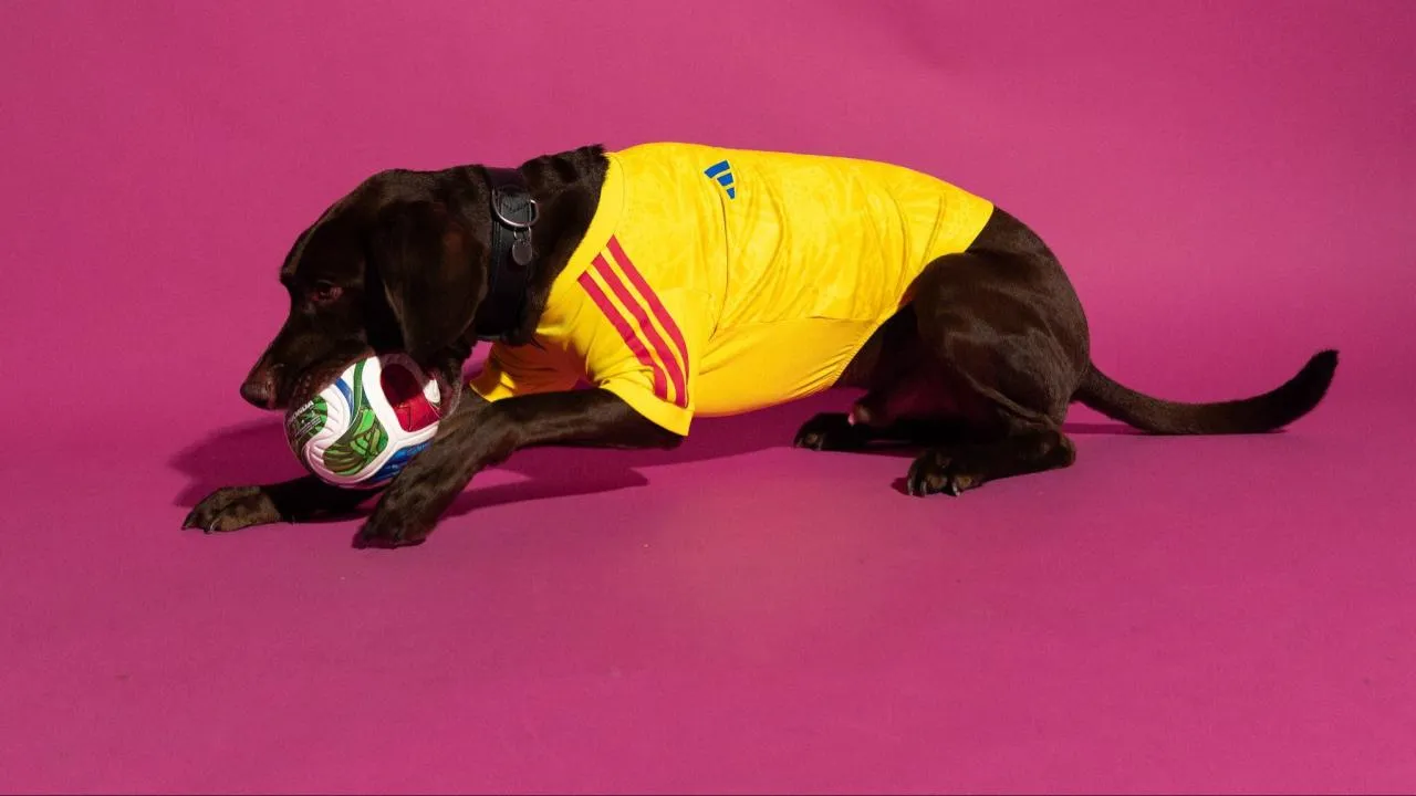 Mundial 2026