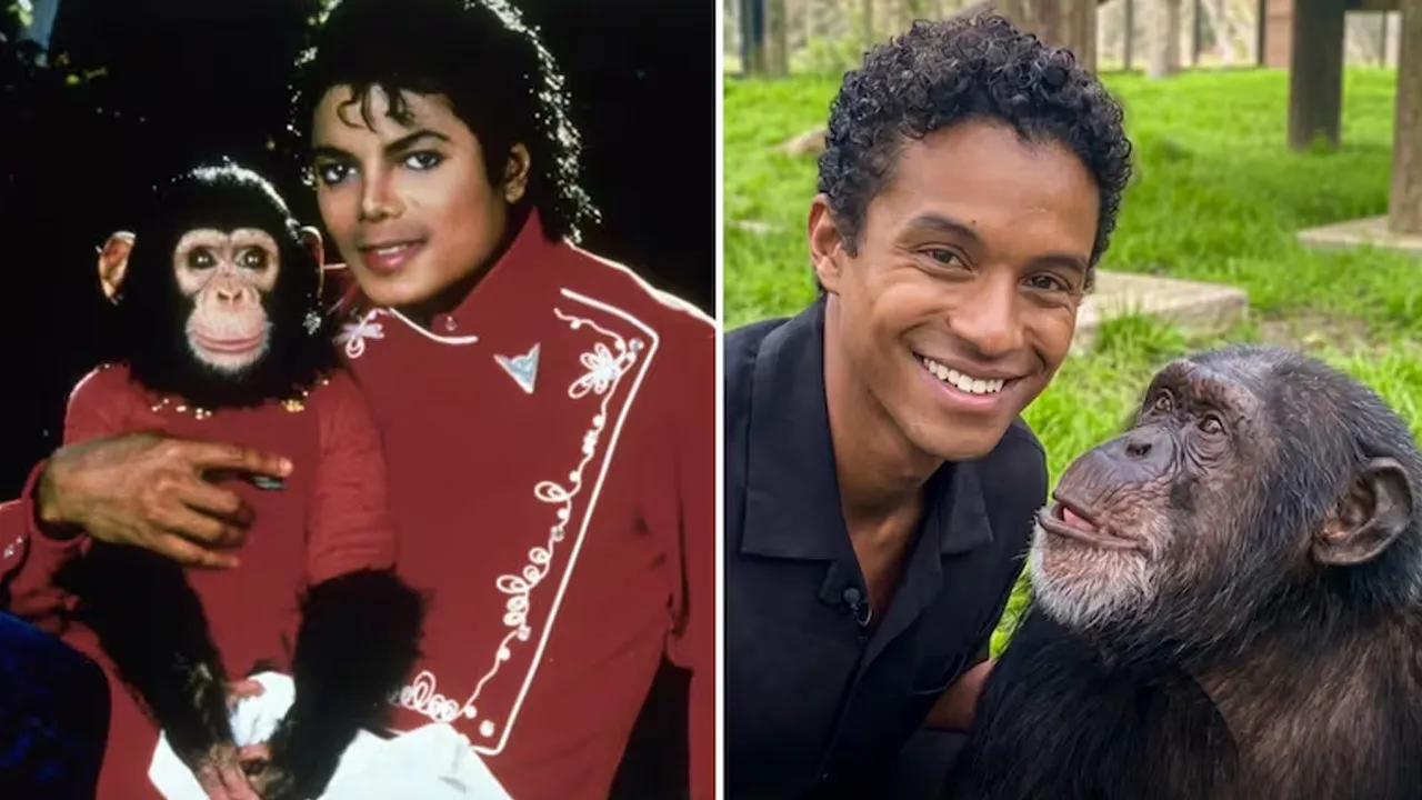 Aclaran que Jaafar Jackson no se reunió con Bubbles, según santuario en Florida