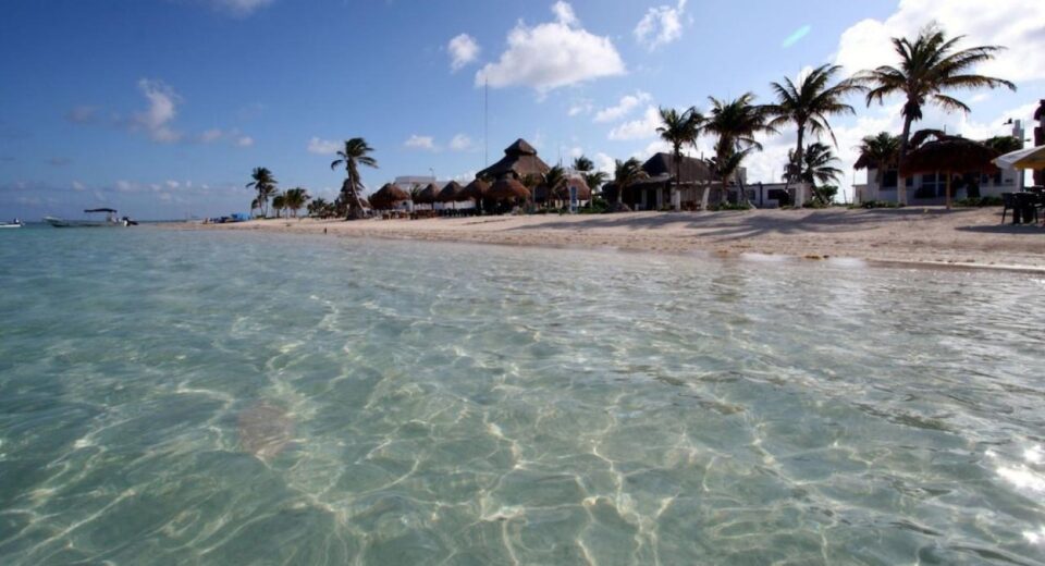 manglares en Mahahual