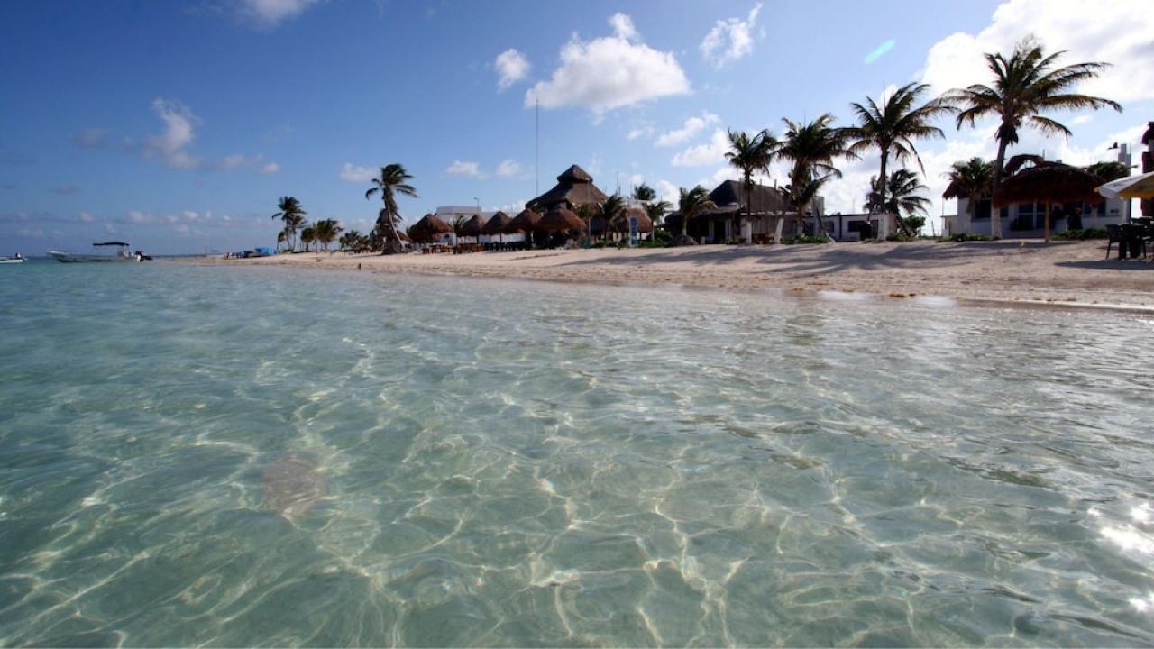 manglares en Mahahual