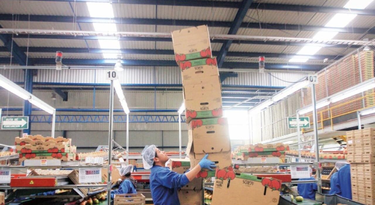 trabajadores de México