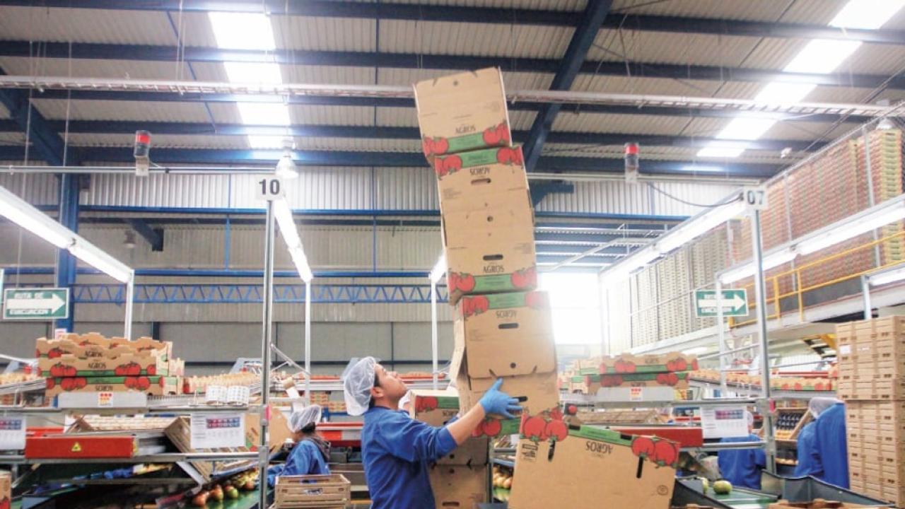 trabajadores de México