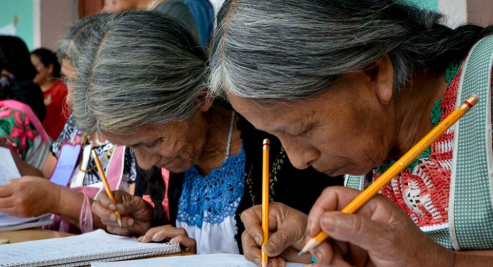 Adultos estudiando