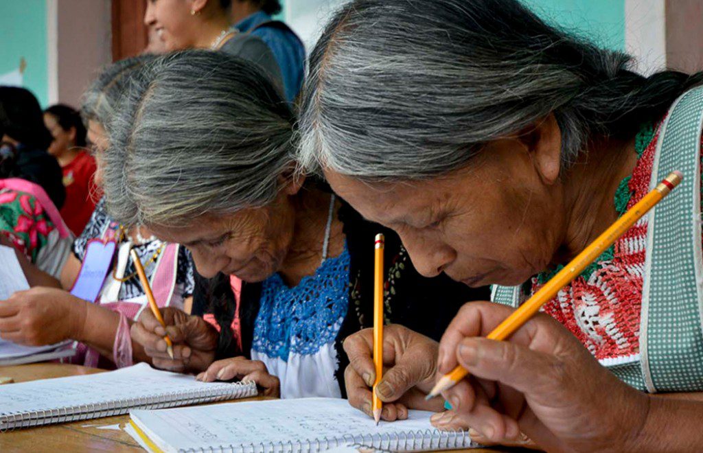 Adultos estudiando