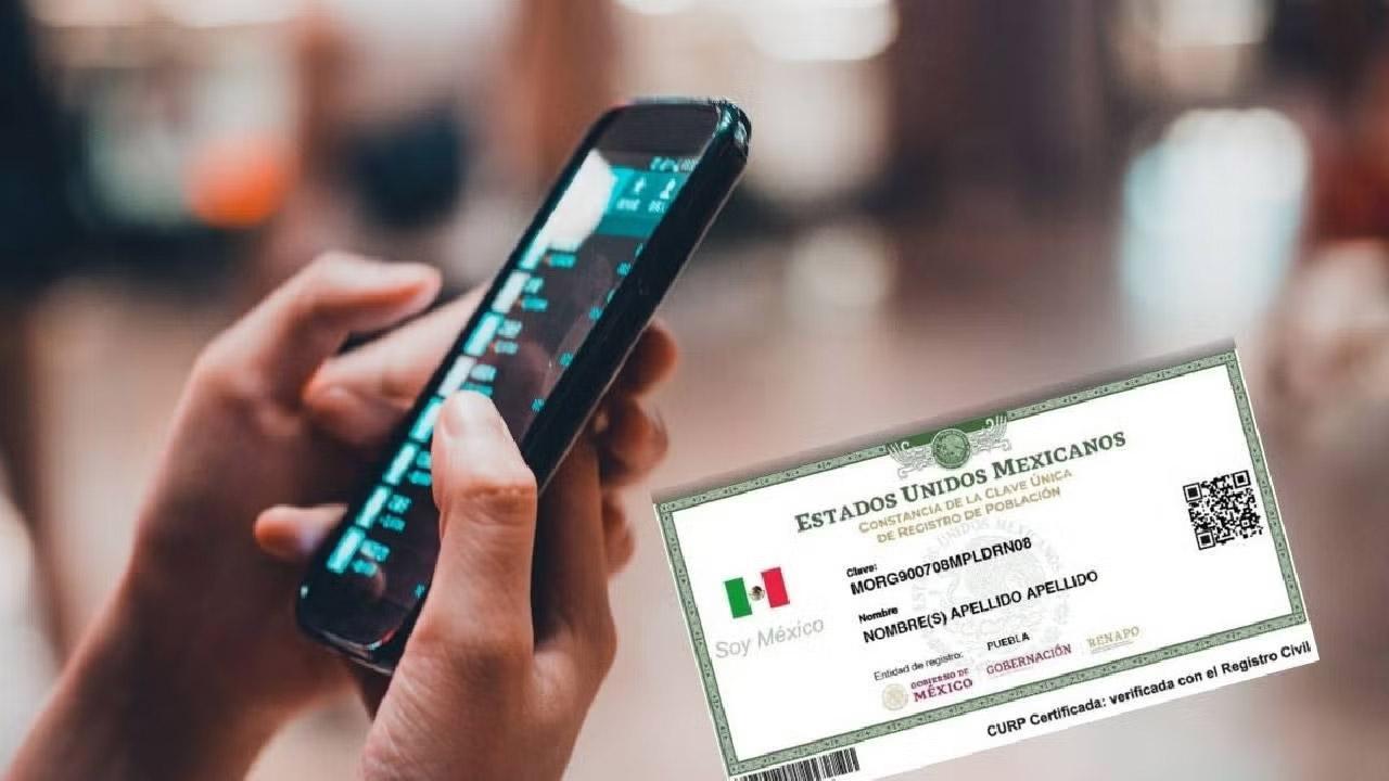 Registro de celular con CURP
