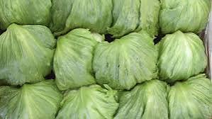 Cyclospora
