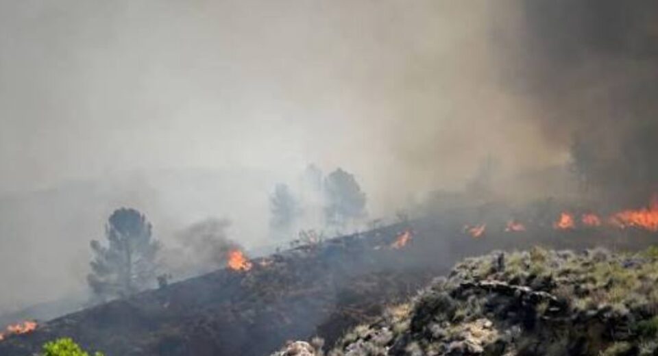 España combate la emergencia: incendios dejan más de 77 mil hectáreas arrasadas
