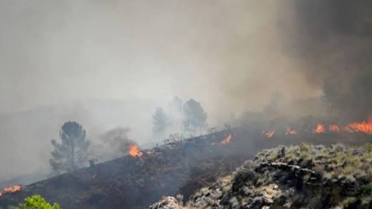 España combate la emergencia: incendios dejan más de 77 mil hectáreas arrasadas
