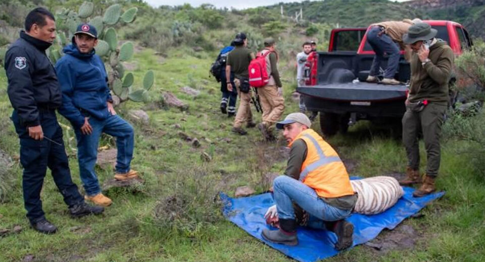 Profepa solicitará apoyo de la UNAM para necropsia del tigre de Bengala Kenzo