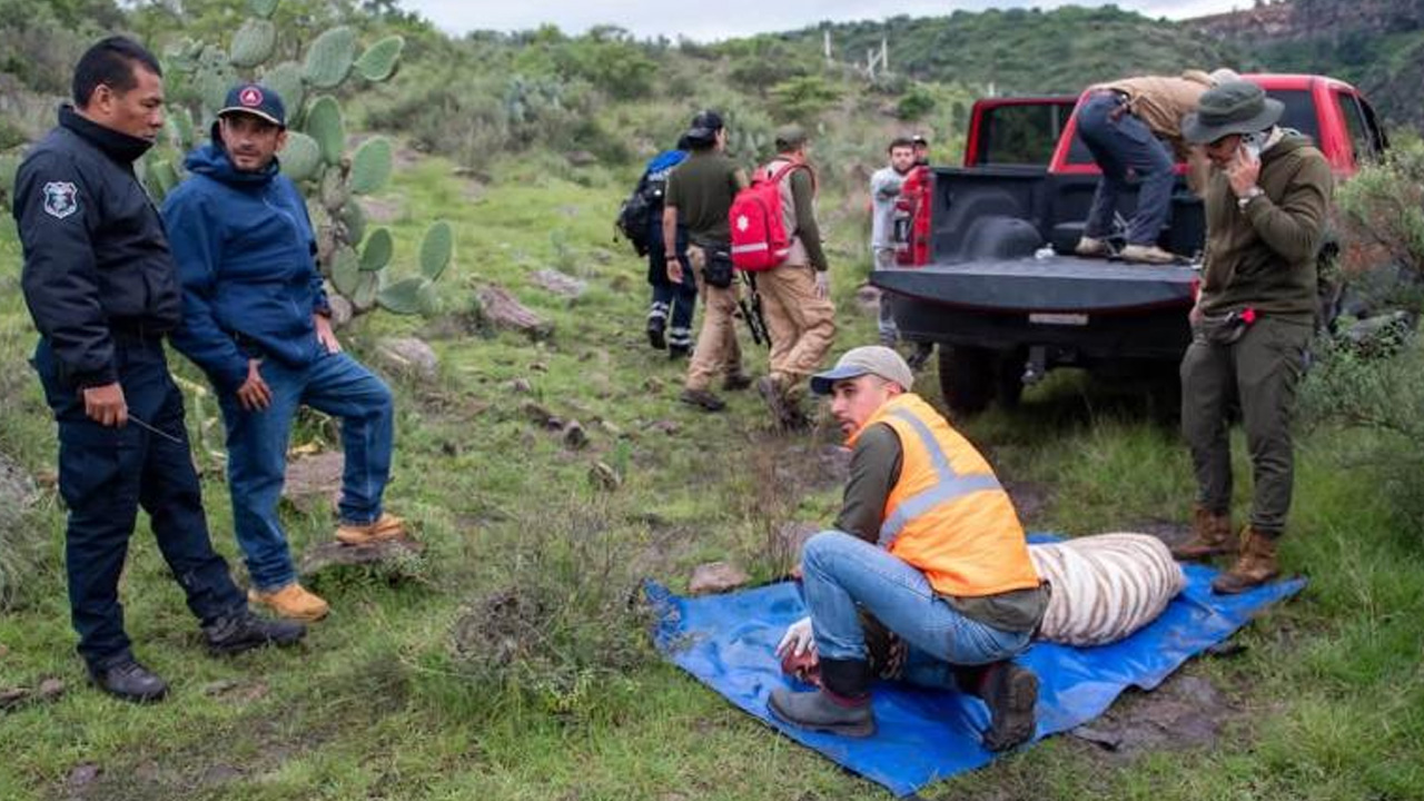 Profepa solicitará apoyo de la UNAM para necropsia del tigre de Bengala Kenzo