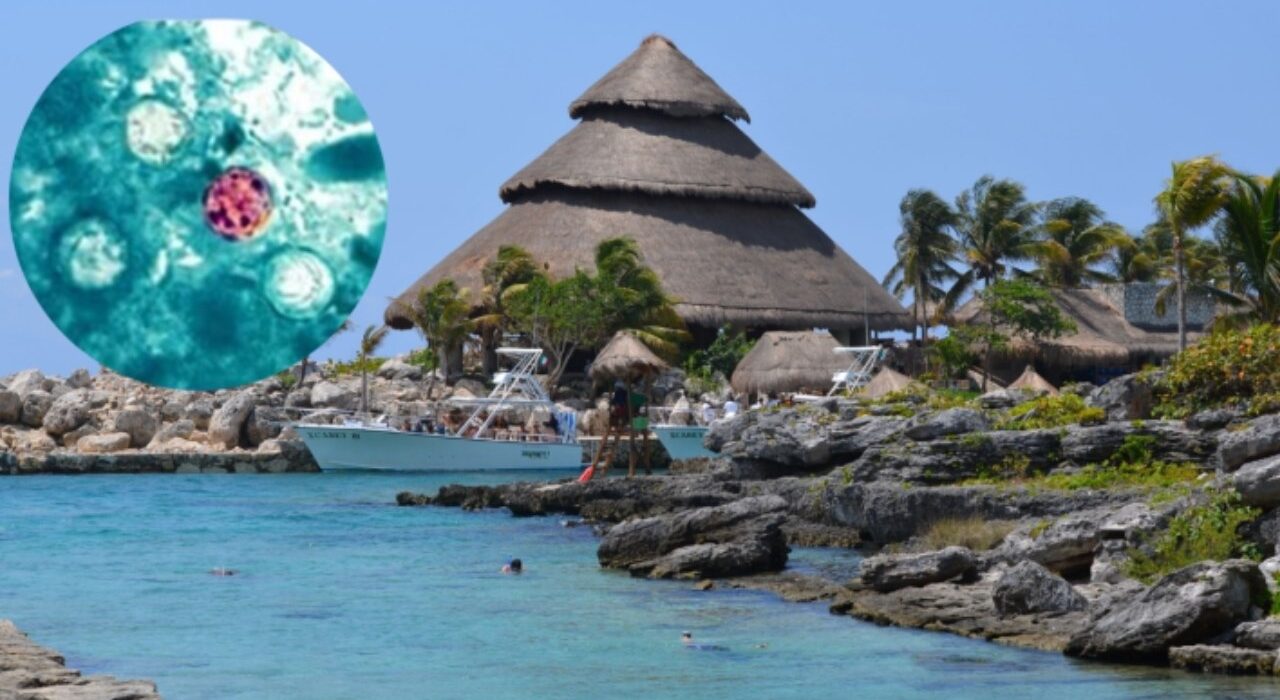 Cofepris descarta Cyclospora en 16 hoteles de la Riviera Maya tras alerta internacional