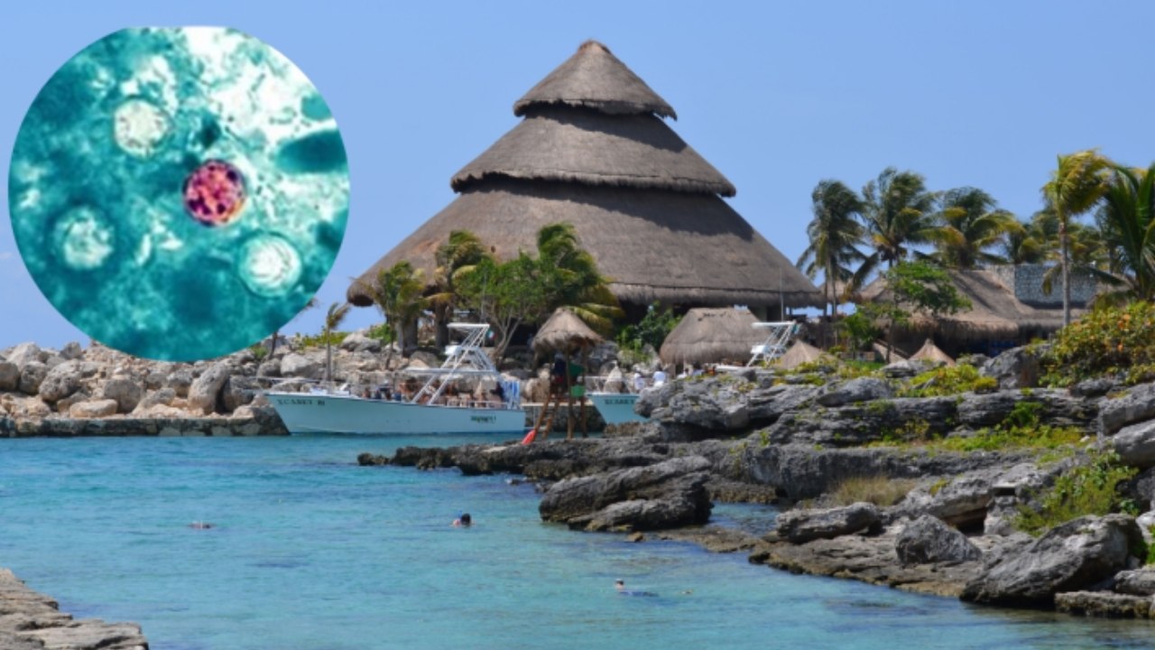 Cofepris descarta Cyclospora en 16 hoteles de la Riviera Maya tras alerta internacional
