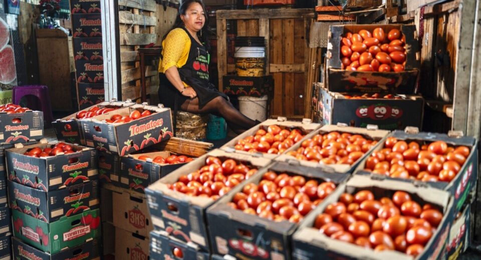 EU le cierra la puerta al tomate mexicano: arancel antidumping seguirá vigente