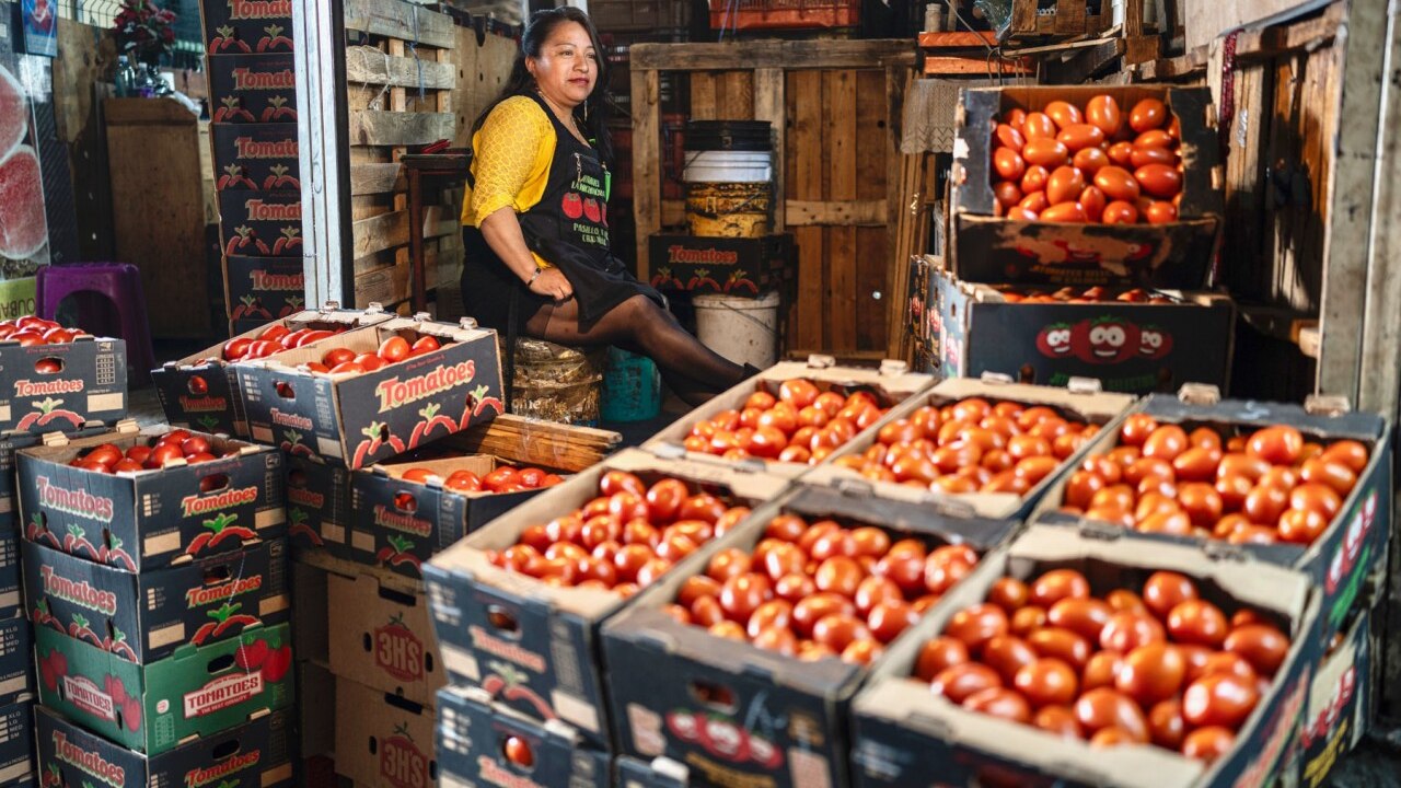 EU le cierra la puerta al tomate mexicano: arancel antidumping seguirá vigente
