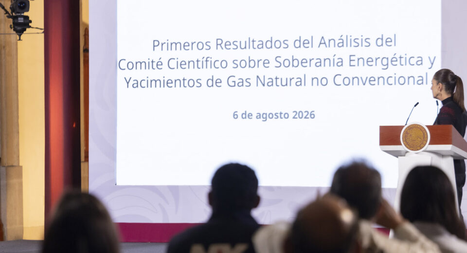 Especialistas plantean decálogo