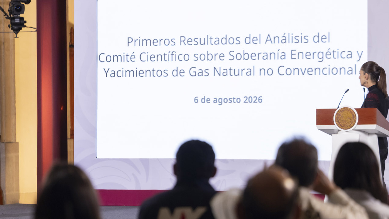 Especialistas plantean decálogo
