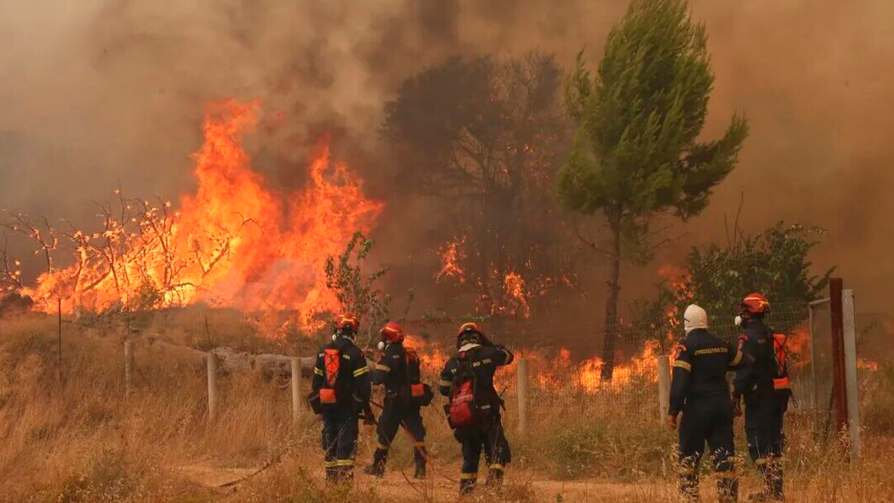 Incendios forestales
