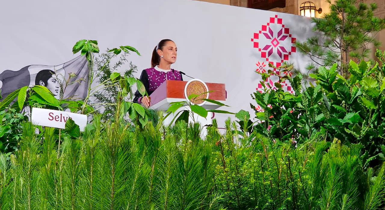 Jornada Nacional de Reforestación
