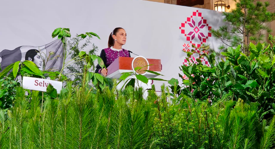 Jornada Nacional de Reforestación