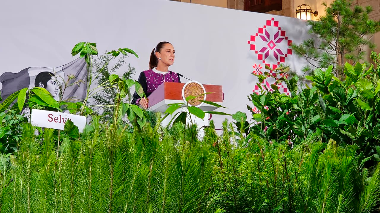 Jornada Nacional de Reforestación