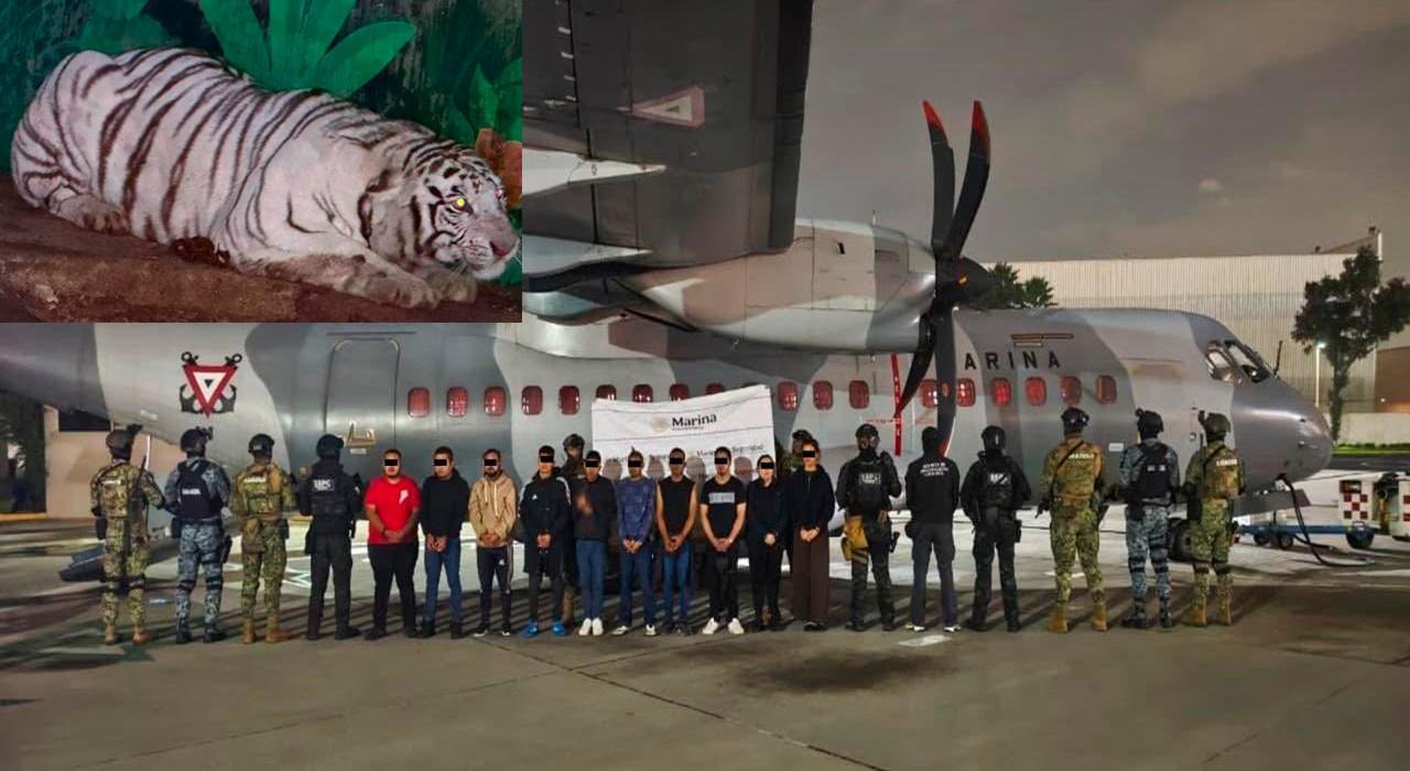 Operativo contra el CJNG en Hidalgo, Jalisco y Michoacán