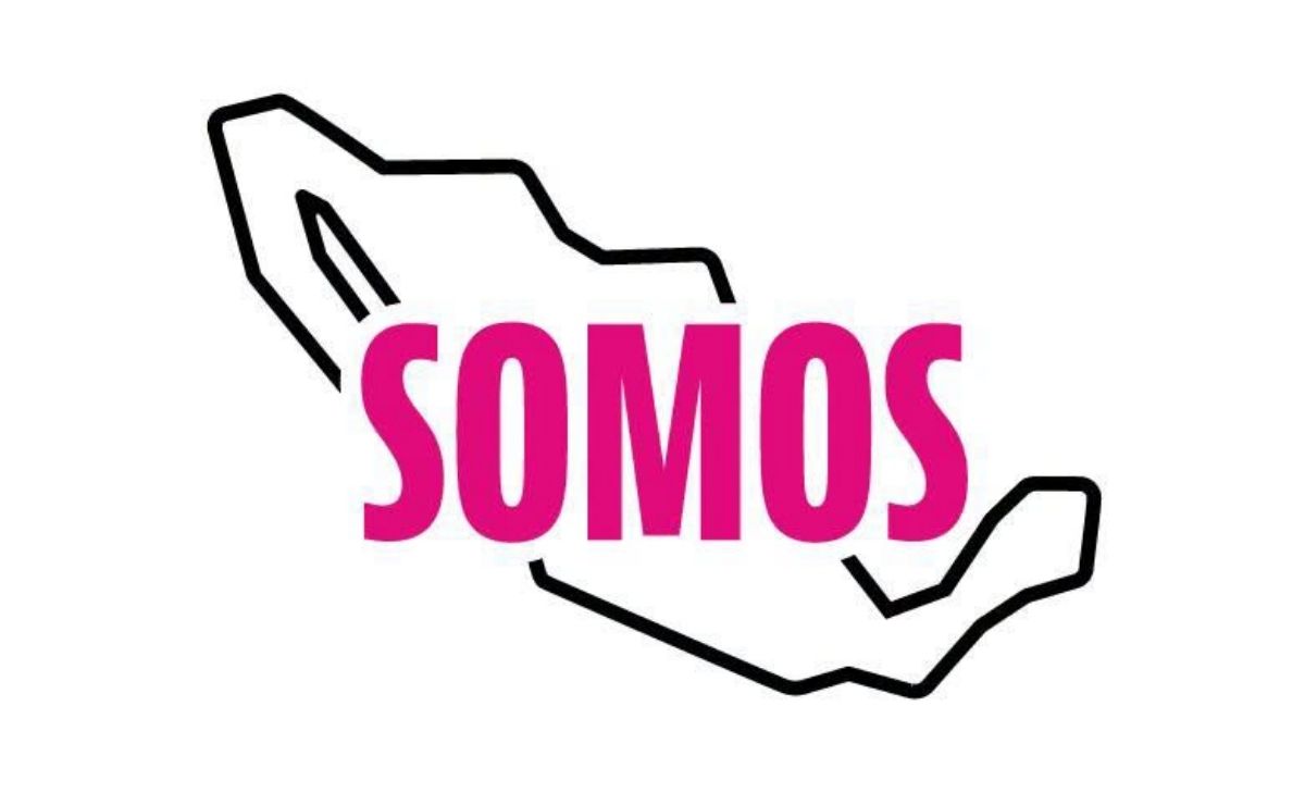 PARTIDO SOMOS